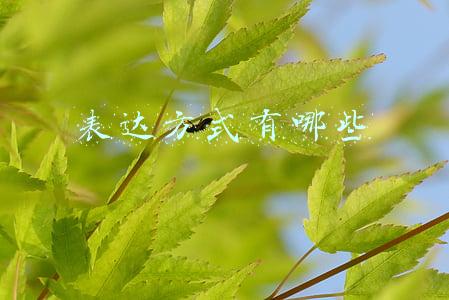 表达方式有哪些