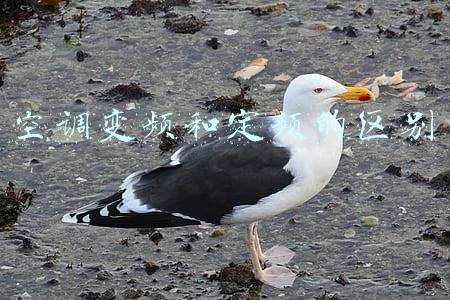 空调变频和定频的区别