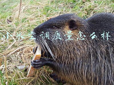 小米空调质量怎么样