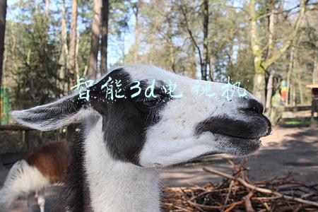 智能3d电视机