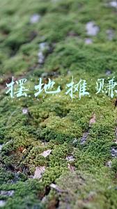 过年摆地摊卖什么好(年关将至，农村大集7种生意开始赚钱，家家要买，摊前不缺人)