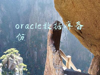 oracle数据库备份