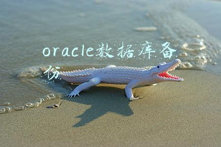 oracle数据库备份sql语句(oracle 和 mysql 自动按照日期备份数据库脚本)