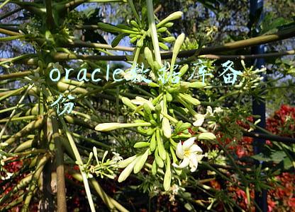 oracle数据库备份
