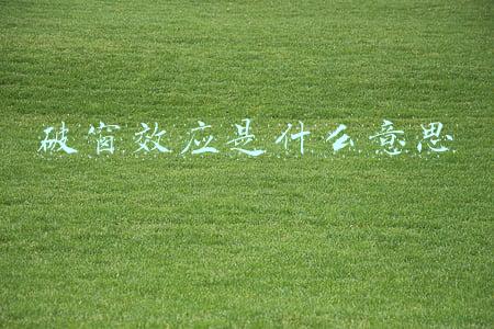 破窗效应是什么意思