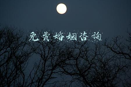 免费婚姻咨询
