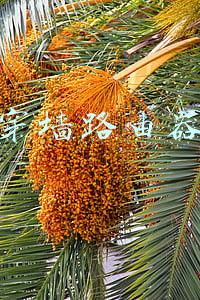 穿墙路由器