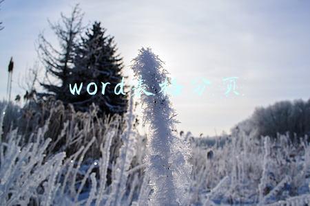 word表格分页