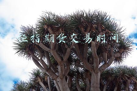 恒指期货交易时间