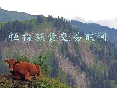恒指期货交易时间
