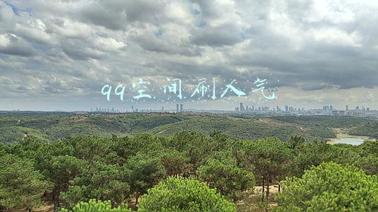 qq空间刷人气