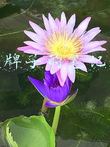哪个牌子的笔记本好