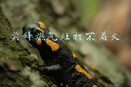 前锋燃气灶打不着火