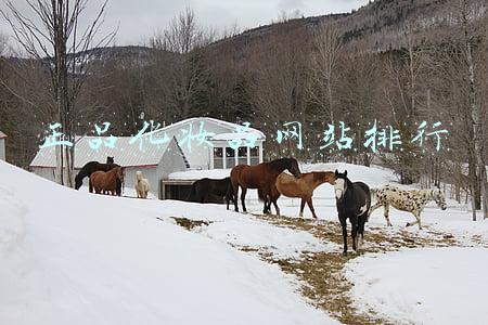 正品化妆品网站排行 正品化妆品网站排行