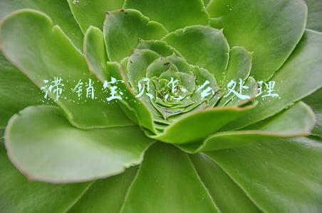 滞销宝贝怎么处理