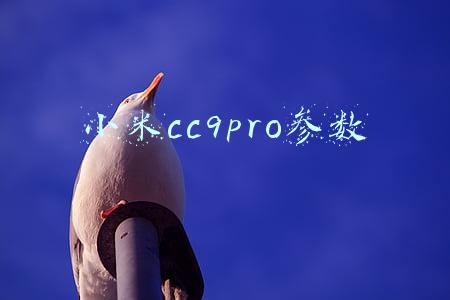 小米cc9Pro参数(小米 CC9 Pro 评测：一亿像素带来了什么？)