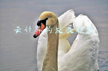 云计算的发展趋势