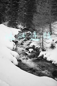 烧烤连锁店(深度测评 | 全中国谁家烤串儿最赚钱？)
