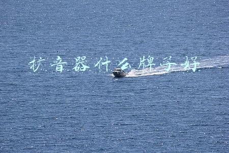 扩音器什么牌子好