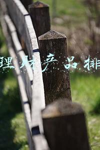 银行理财产品排行榜