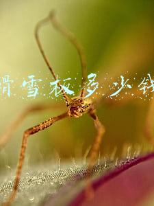 滑雪板(新疆阿勒泰：古老滑雪板传承技艺 传递光明温暖)