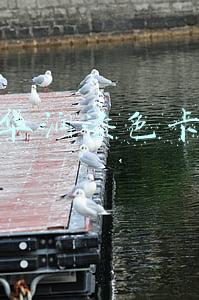 华润漆色卡