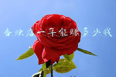 开一家香烛批发店需要多少钱《开个香烛店要多少投资》