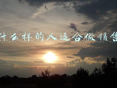 什么样的人适合做销售助理(一大波岗位来袭，看看有你适合的吗？)
