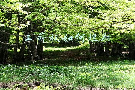 工薪族如何理财 支付宝(干货！教你用支付宝理财，轻松赚钱)