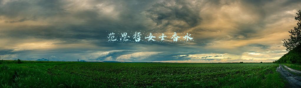 范思哲女士香水