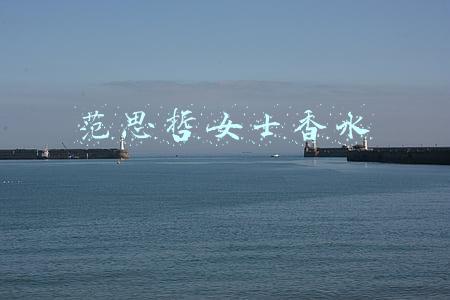 范思哲女士香水