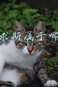 毛里求斯属于哪个洲的国家(非洲岛国毛里求斯的货币上，为啥印着一个中国人？)