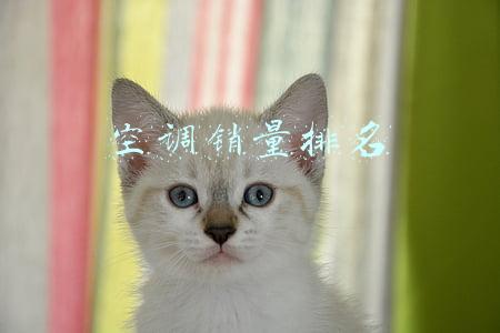 空调销量排名