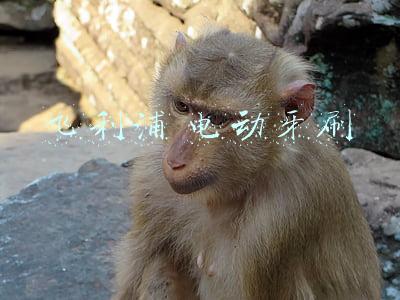 飞利浦电动牙刷充电多久才能充满(飞利浦电动牙刷怎么充电 一直闪烁怎么回事)
