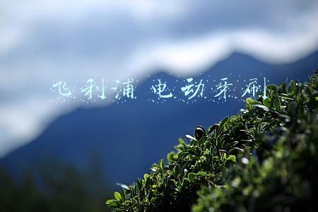 飞利浦电动牙刷哪款好(BYCOO E5与飞利浦6730谁强？国潮新品与机皇终极PK)