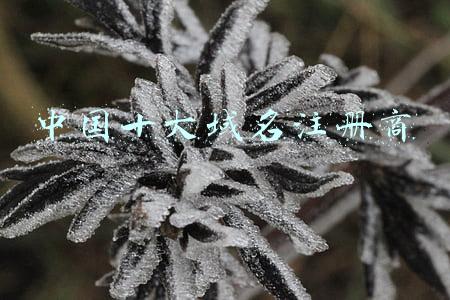 中国十大域名注册商