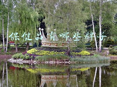 保健品有哪些品牌大全(常见的8种保健品，哪些才是老年人该真正补充的？别再盲目跟风)