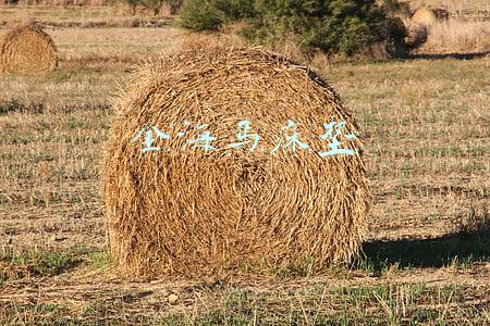 金海马床垫