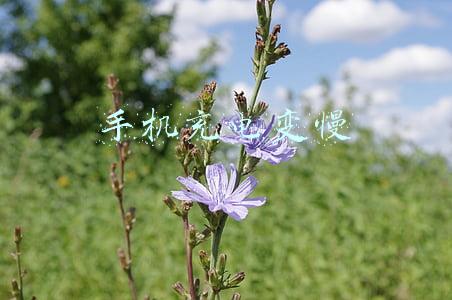 手机充电变慢是什么原因造成的(手机快充取决于数据线还是充电头？看完这点，你就明白了)