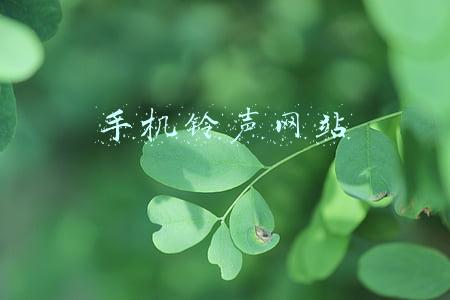 手机铃声网站