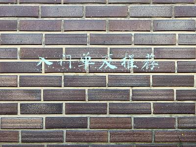 入门单反推荐2019(2019年新春单反相机推荐产品排行榜)