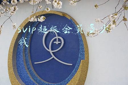 svip超级会员(任天堂高级会员详情，你要知道的都在这了)