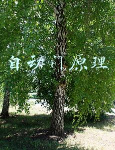 自动门原理