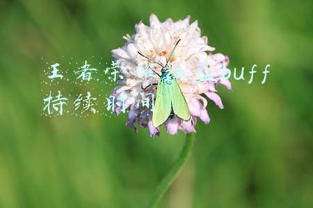 王者荣耀红蓝buff持续时间