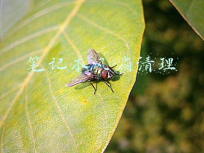 笔记本风扇清理