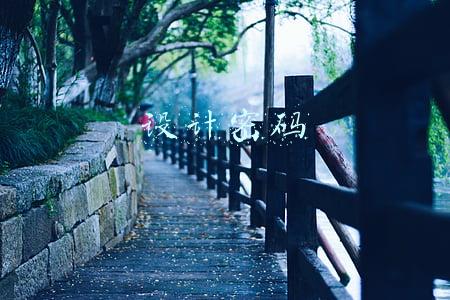 设计密码锁(基于51单片机带万能密码的4位电子密码锁Proteus设计)