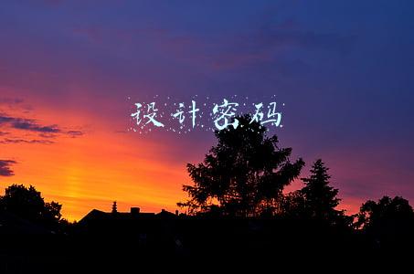 设计密码