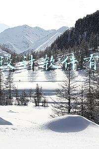 广告设计需要学什么软件有哪些(学习影视特效师要学习哪些软件？学习影视特效需要什么基础条件？)