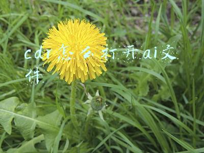 cdr文件用ai打开(新手必知：AI比起cdr，有哪些不同（资源免费送）)