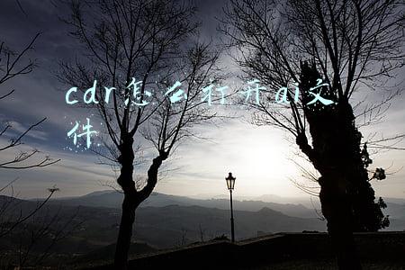 cdr怎么打开ai文件